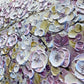 a close up of a wall with flowers painted on it